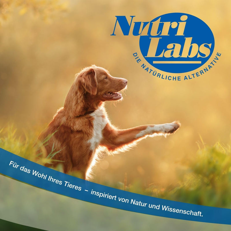 NutriLabs Rascave Hepar Forte tablets for dogs 90 PCS. - Liver tablets - B vitamins for dogs - Health products for dogs - Dog food supplements - Liver complex - BeesActive Australia