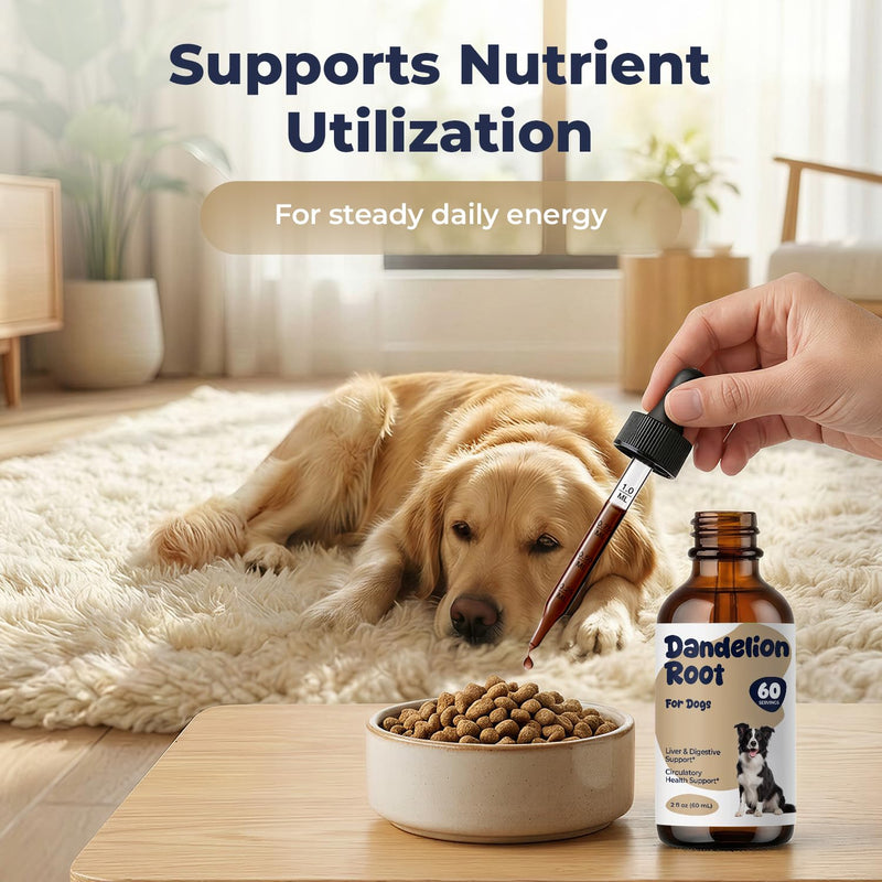 Dandelion Root Drops for Dogs – Herbal Liver Support & Digestive Support for Dogs, Supports Metabolic Balance & Daily Vitality, Liquid Dog Supplement, Gentle Daily Wellness Drops, 2 fl oz (60 mL)