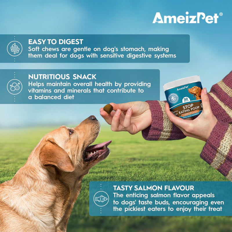 AmeizPet No Poo Treats for Dogs Stop Stool Eating Dog, Coprophagia Deterrent For Dog, Stop Dogs Eating Poop Deterrent, Digestive Enzymes, 30 Soft Dog Treats, 67.5g (2.3 Oz) Stop Poo Eating Deterrent 30 Treats
