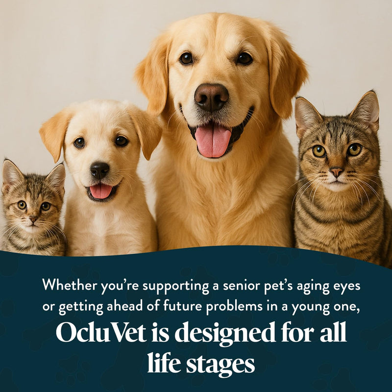 OcluVet Vision Chews Eye Supplements for Dogs & Cats, Natural Chicken Flavor, Contains Omega 3, Lutein, Antioxidants, & More, Cat & Dog Eye Supplements, No Preservatives, Made in USA, 1 Bag, 15 Chews 15 Chews – Bag