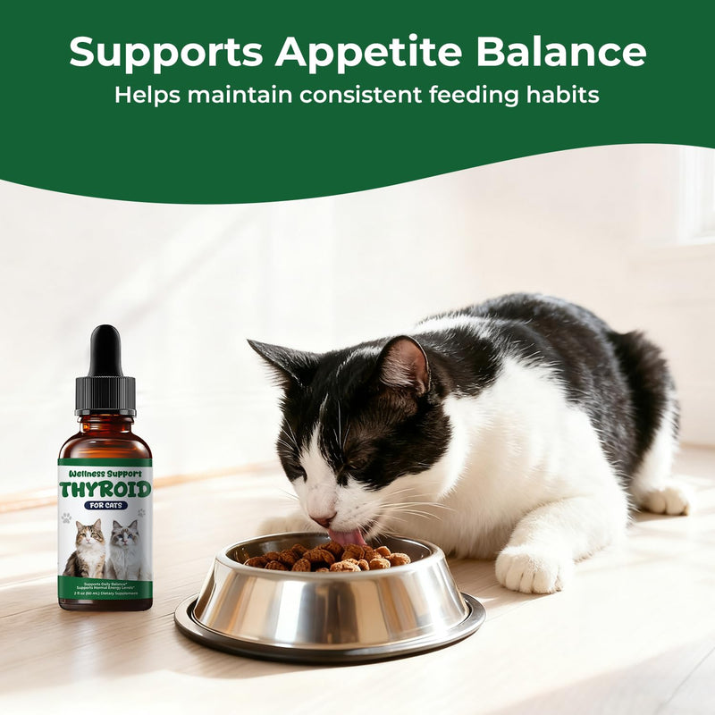 Thyroid Support Drops for Cats, Appetite Stimulant for Cats with Bladderwrack, Astragalus, Eleuthero & Nettle, Metabolic Balance, Weight Support & Daily Vitality, Liquid Herbal Cat Supplement, 2 fl oz