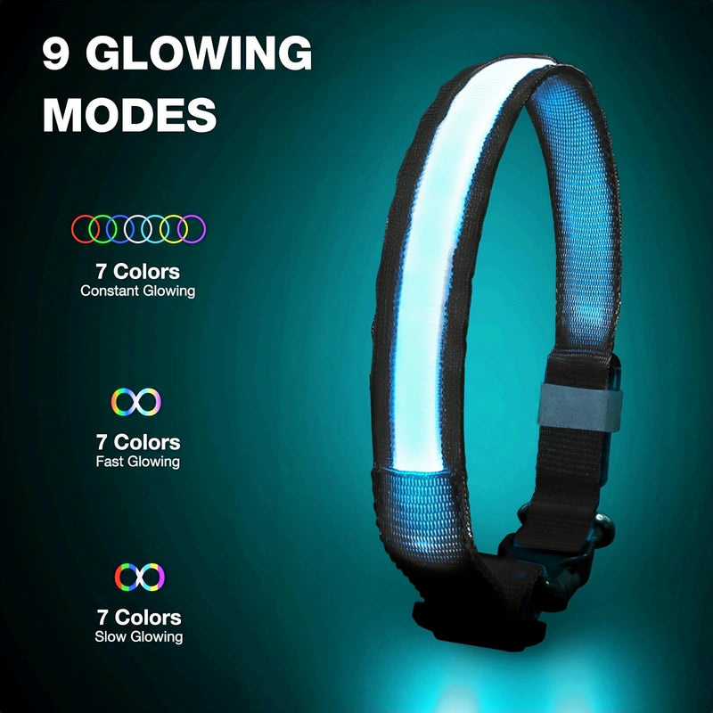 PcEoTllar Luminous Dog Collar, Luminous Dog Collar, Rechargeable, 7 Colors with 9 Light Modes, LED Collar for Dogs, Waterproof, Luminous Collar for Small Medium Large Dogs, Black-M M - BeesActive Australia