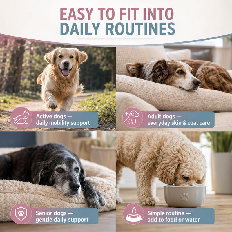Collagen for Dogs, Healthy Skin & Coat, Supports Joint, Immune System & Hips - Collagen Supplement - 2 Fluid Ounces (1 Pack) 1 pack