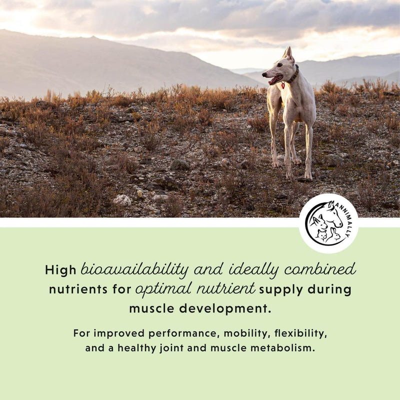 Annimally Muscle Power Tablets for Dogs 120 pcs. - Daily Supplement with Pea Protein & Siberian Ginseng for Active Dogs, Made in Germany