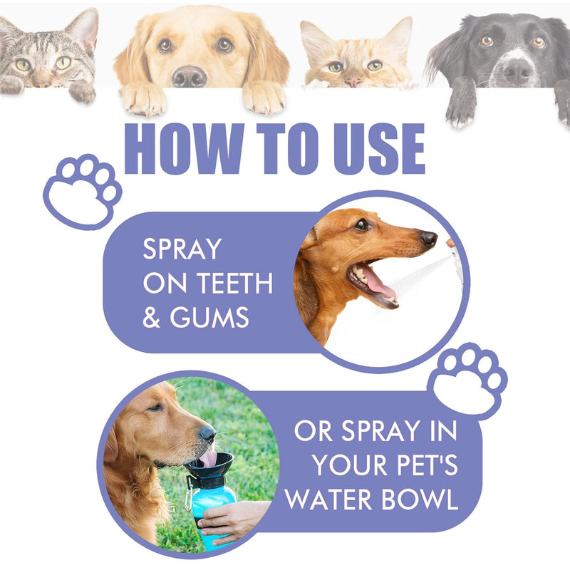 JoanofArc Dog Dental Care Spray, Pet Oral Spray, Breath Freshener & Teeth Cleaning Spray, Oral Spray Bad Breath, Reduce Plaque & Tartar, No Brushing Required Teeth Treatment Spray, 1.01 Fl Oz