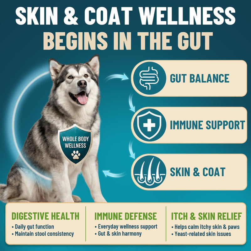 Probiotics for Dogs, 200 Soft Dog Probiotic Chews for Dogs Gut Health Digestive & Immune Support, Dog Probiotics for Yeast Itchy Skin with Digestive Enzymes, Pumpkin, Constipation & Diarrhea Relief