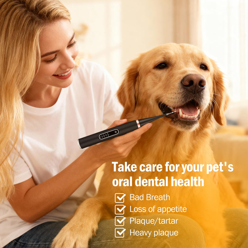 Dog Plaque Remover, Pet Teeth Cleaning Products, Dog Tartar Remover with 6 Modes and Complete Care Kit for Dogs and Cats, Rechargeable, Black