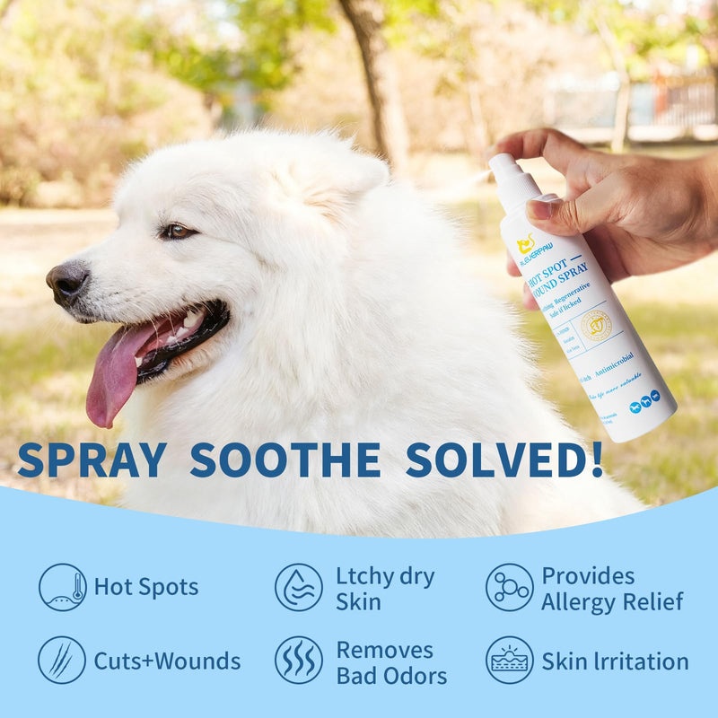 Hot Spot Treatment, Itch Relief Spray for Dogs and Cats. Relives Scratching, Sores, Rashes, Itchy Skin and Paw Licking, with Aloe and PHMB, 8 Fl Oz