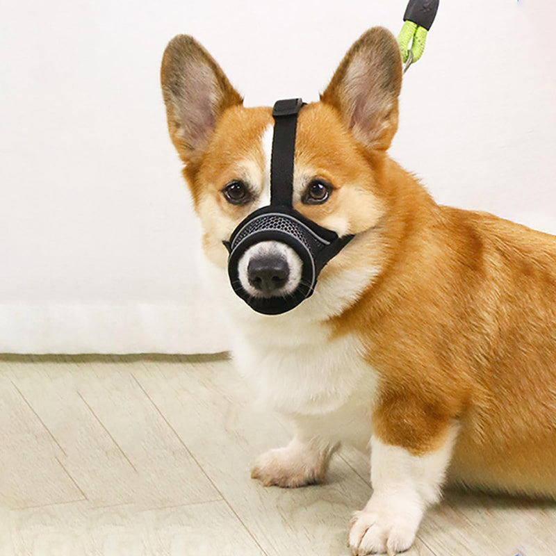 JSTHHTT 2 pieces muzzle for dogs, dog muzzle, adjustable loop, soft muzzle for medium dogs, prevents biting, chewing and barking, for small, medium dogs - BeesActive Australia