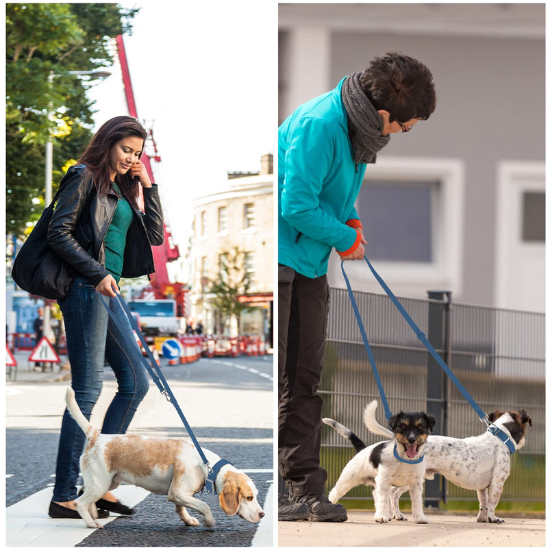 Wisedog Waterproof Dog Leash – 5ft/6ft Adjustable with 2 Metal Swivel Hooks, Easy to Clean Dog Leashes for Small, Medium, Large Breed Dogs (Navy,M) 5 ft × 3/4 in Navy