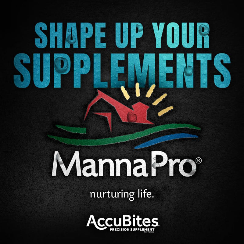 Manna Pro AccuBites Replenish Equine Supplement – Hydration & Immune Support Supplement for Horses – Contains Vitamin E & Turmeric – Turmeric & Molasses Flavored – 1.6 lbs - BeesActive Australia