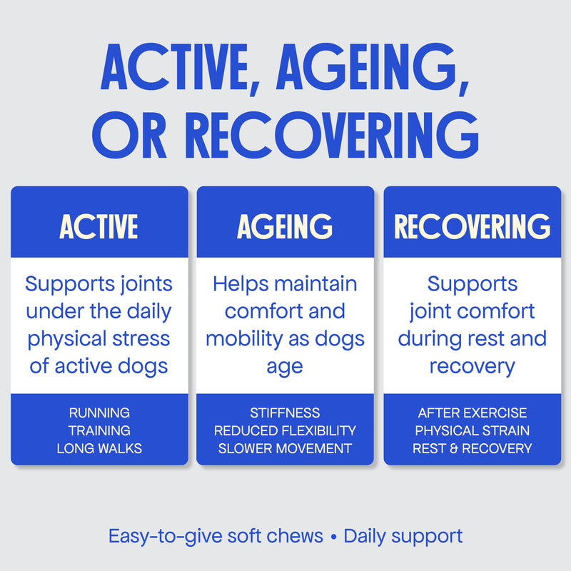 Joint Supplement for Dogs - With Glucosamine, Chondroitin, MSM, Turmeric, Ginger, Boswellia for Dogs with Stiff Joints, Arthritis - Supports Collagen Production - Natural Joint Care for All Dog Sizes