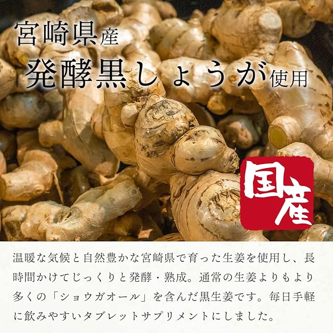 Black Ginger Supplement Tablets 90 Tablets Approximately 1 Month's Supply Made in Miyazaki Prefecture Domestic Black Ginger Ginger All Fermented Aging Warm Life Sensitive to Cold - BeesActive Australia