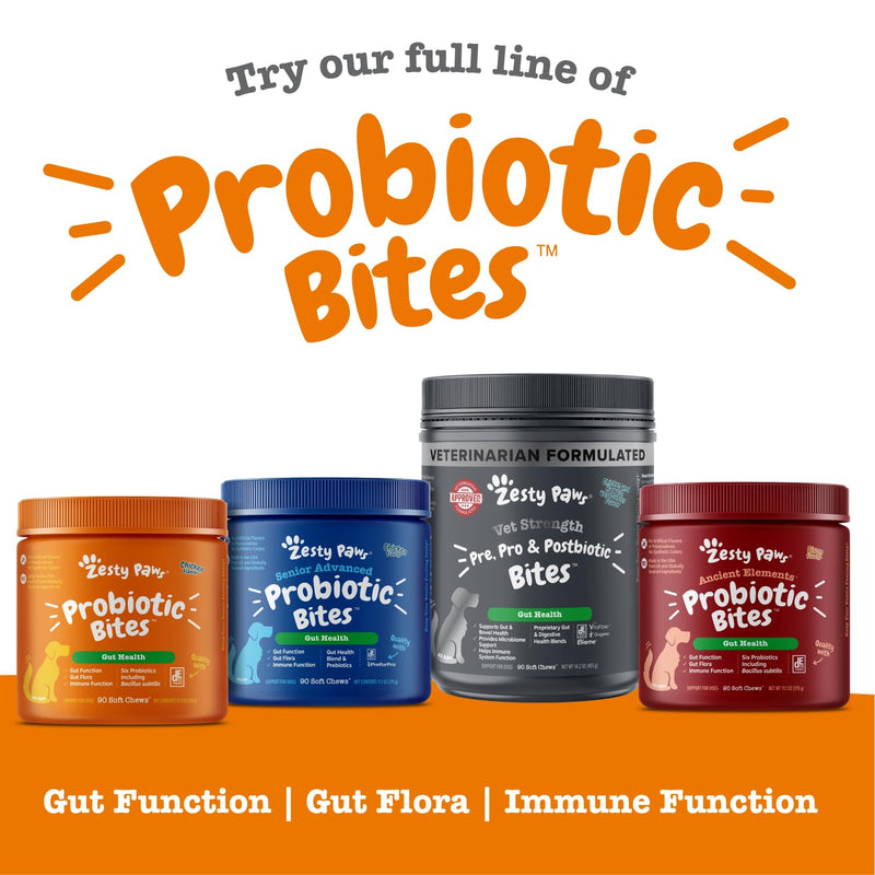 Zesty Paws Probiotics for Dogs - Digestive Enzymes for Gut Flora, Digestive Health, Diarrhea & Bowel Support - Clinically Studied DE111 - Dog Supplement Soft Chew for Pet Immune System - Pumpkin 90 Count - BeesActive Australia