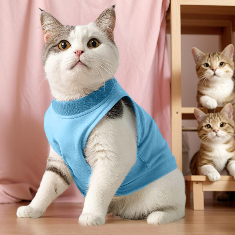 Amexo Cat Bodysuit Post-Op One-Piece for Cat Recovery Professional Recovery Suit for Cats and Dogs E-Collar Alternative Recovery Suit for Pets (Blue, M) Blue - BeesActive Australia