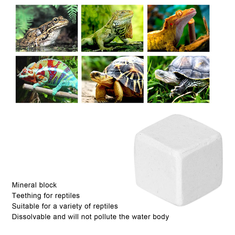 Aquarium calcium stone, turtle stone is rich in trace elements calcium for snails for reptiles for turtles for terrestrial animals for daily use - BeesActive Australia