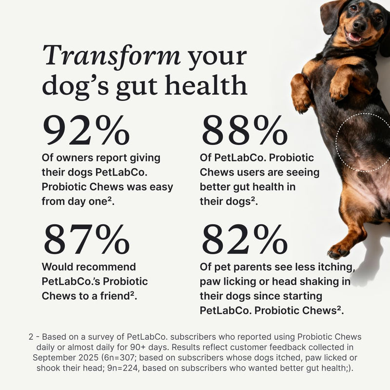 PetLab Co. Probiotics for Dogs, Support Gut Health, Occasional Diarrhea, Digestive Health & Seasonal Allergies - Salmon Flavor - Packaging May Vary - 30 Soft Chews Single Pack