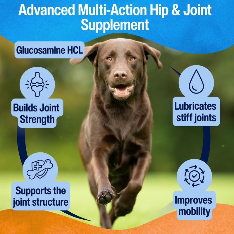 Hip & Joint Tablets for Dogs | Supports Joint Flexibility, Mobility, Healthy Cartilage & Helps Soothe Stiff Joints | With Glucosamine, Green-Lipped Mussel | Daily Use | 120 Tablets