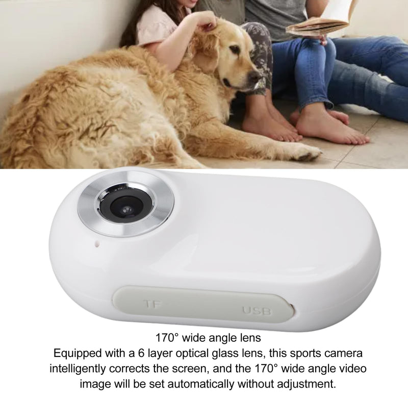 Annadue pet collar camera with phone app, adjustable pet sports camera with 170° wide angle, rechargeable via USB, HD 1080P body camera for cats and dogs - BeesActive Australia