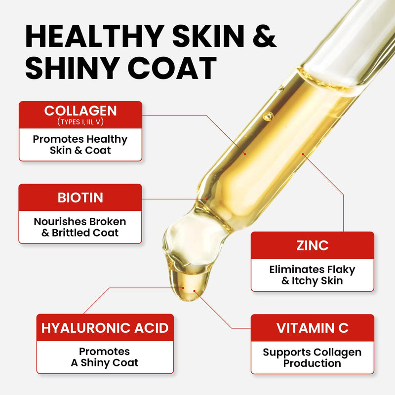 Dog Collagen Drops – 4oz Liquid Supplement for Mobility, Coat Health, and Skin Nourishment