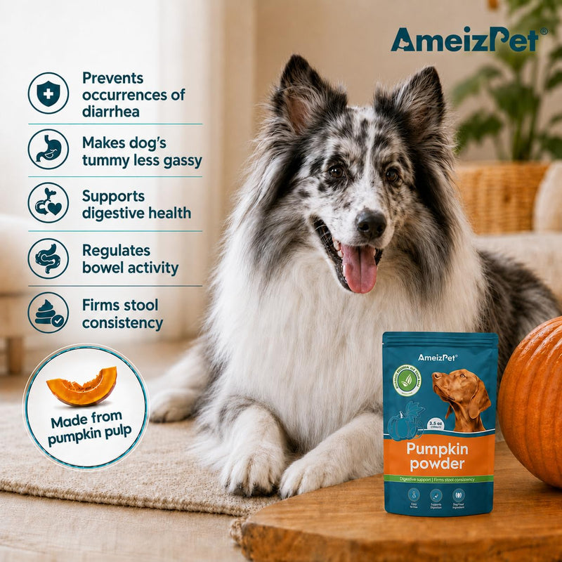 AmeizPet Pumpkin Powder For Dogs, To Create Pumpkin Puree, Fibre For Dogs Firm Stool, 100% Pumpkins Pulp Powder For Good Bowel Activity For Dog, Canned Pumpkins Alternative, 100g (3.5 Oz.) 100 g (Pack of 1)