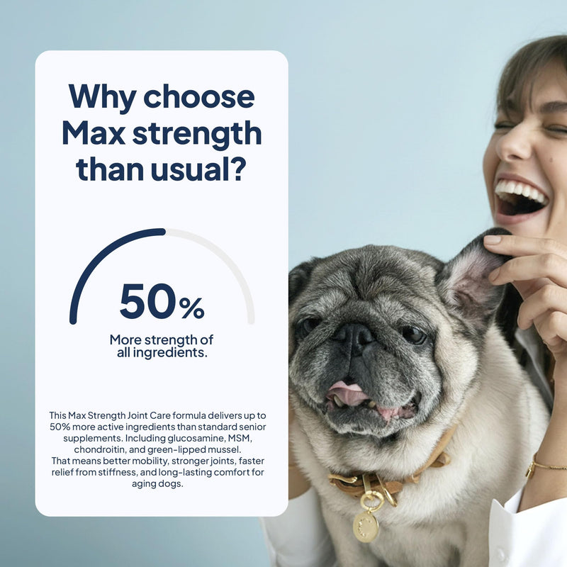 Joint Supplements for Dogs Max Strength Glucosamine & Chondroitin with Green Lipped Mussel for Dogs & MSM For Severe Joint Stiffness, Mobility & Dog Pain Relief Anti Inflammatory Beef Max Strenght