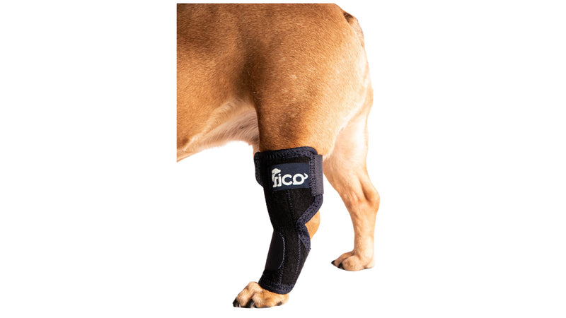 Dog Hock Brace for Ankle Support & Arthritis, Vet Approved Dog Back Leg Brace, Adjustable with Removable Splints, Orthopedic Support for Injuries, Sprains & Post-Surgery Recovery (X Small) X Small