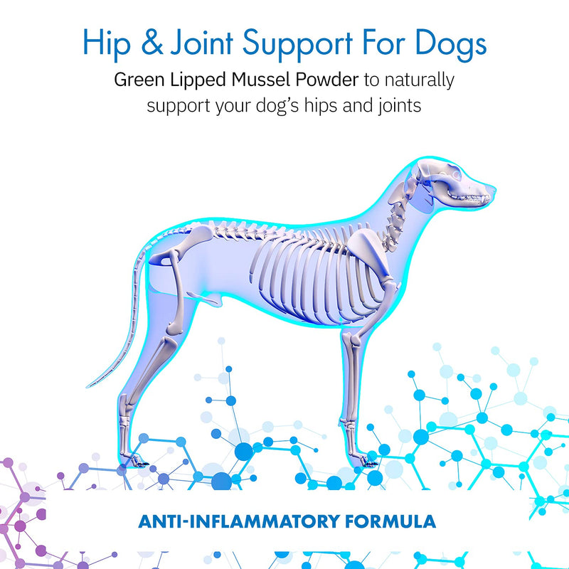 Green Lipped Mussel Powder for Dogs, All-Natural Hip & Joint Support Dietary Supplement Formula for Dogs (120 Servings) - PawsPlanet Australia
