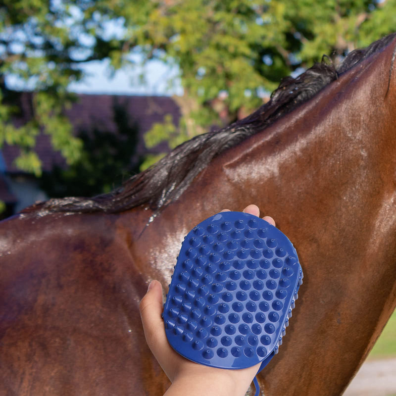 Harrison Howard ShineWell Pet Grooming Brush Massage Glove Practical Day to Day Uses for Horses Dogs Cats - BeesActive Australia
