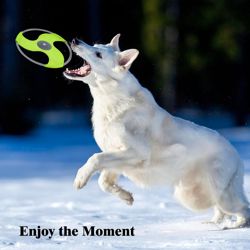 LED Dog Flying Disc, Rechargeable LED Light Dog Flying Disc Flyer Dog Toys, Glow in The Dark Flying Disc Dog Toy with 3 Light Models, Pet Training Throwing Playing for Physical Exercise - BeesActive Australia
