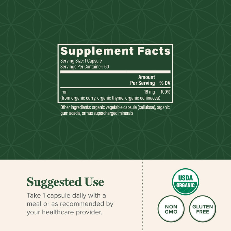 Iron Supplement for Women & Men - Blood Builder Liquid Iron Vitamin (2 Oz) | Global Healing Iron Supplement- Natural Energy to Combat Fatigue, Brain Health