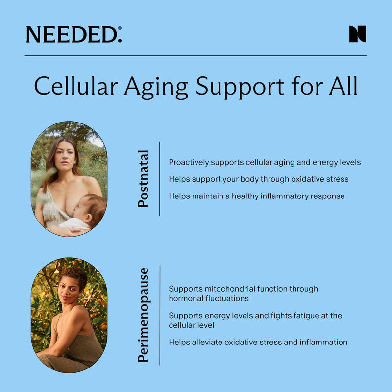 Needed. Cellular Aging Support, 30 Servings | Antioxidants Supplement with Alpha Lipoic Acid, Acetyl L-Carnitine & PQQ, Third Party Tested Mitochondrial Supplement
