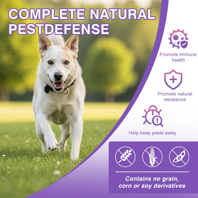 Dog Flea and Tick Chewable Tablets 200 Soft Chews Oral Supplement Chicken Flavor for Dogs All Breeds Sizes Ages Supports Skin Comfort and Daily Wellness Easy to Chew and Use for Routine Care