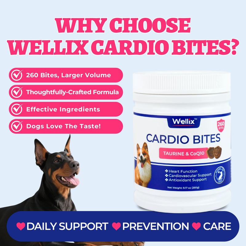 Wellix 260g Cardio Taurine for Dogs - Heart Supplements for Dog Chews with CoQ10,Fish Oil,L-Carnitine - Senior Heart Health and Cardiovascular & Antioxidant Support