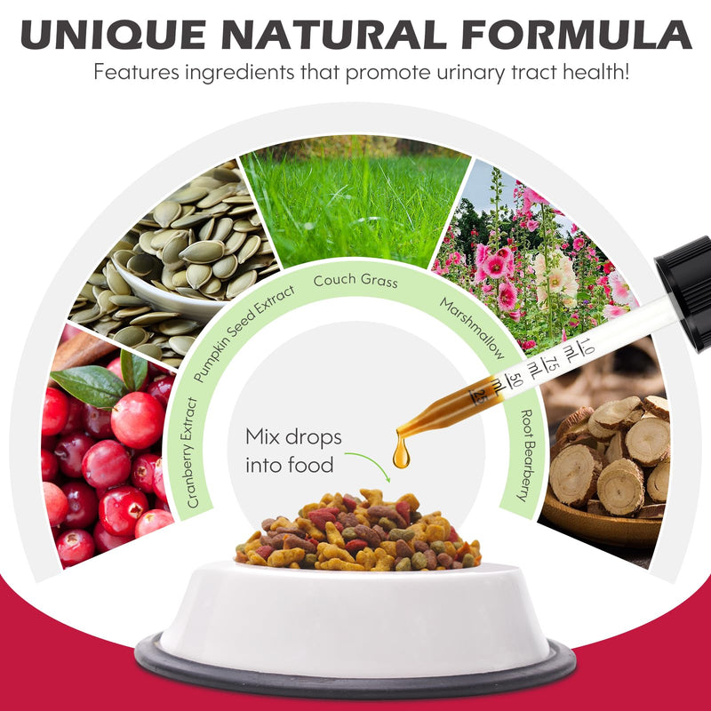 ZTSMSWY Dog Urinary Tract Infection Treatment, Dog UTI Treatment, Natural UTI Care Drops, Prevention Incontinence & Bladder Stones, Keep Pet Renal Health & UTI Care Drops 60ML - BeesActive Australia