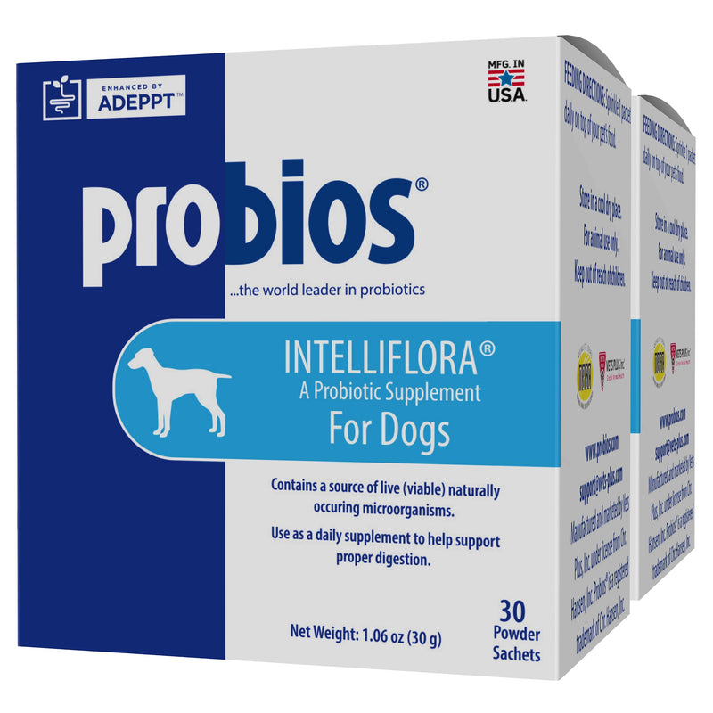 Probios Intelliflora for Dogs, Daily Probiotic Powder with Prebiotics, 200 Million CFU/g, Supports Gut Health Digestion and Immune Health, Chicken Liver, 30 Sachets (Pack of 2) 30 Count (Pack of 2)