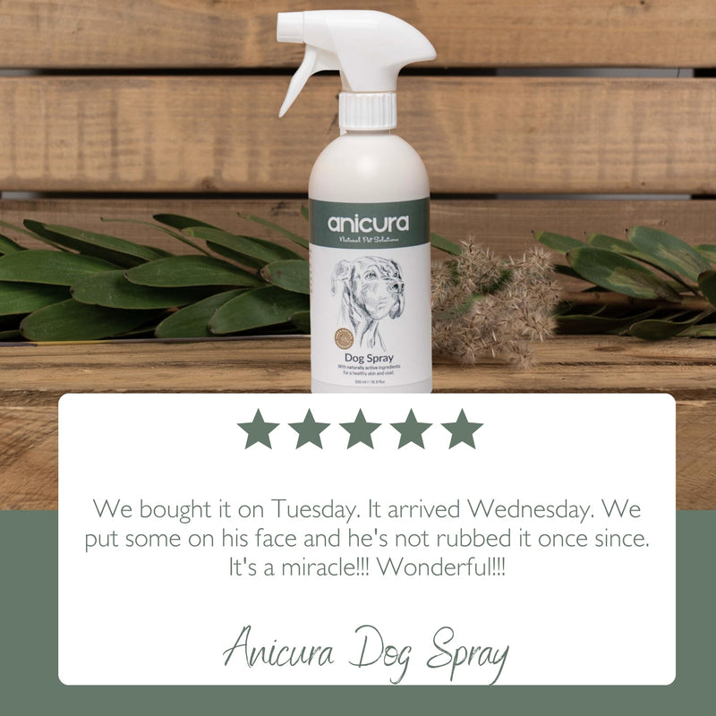 Anicura Dog Spray 500ml – Instant Relief & Long-Term Skin Health – Soothes Itchy, Dry Skin & Allergies – Gentle, Natural Care for All Dogs