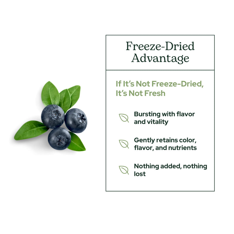 Eclectic Herb - Bilberry Powder Supplement | Vision Health, Cardiovascular Support & Circulation | Superfood Vitamin & Mineral Supplement | Freeze Dried, Vegan, Non-GMO, Gluten Free (3.2 oz | 90 g)