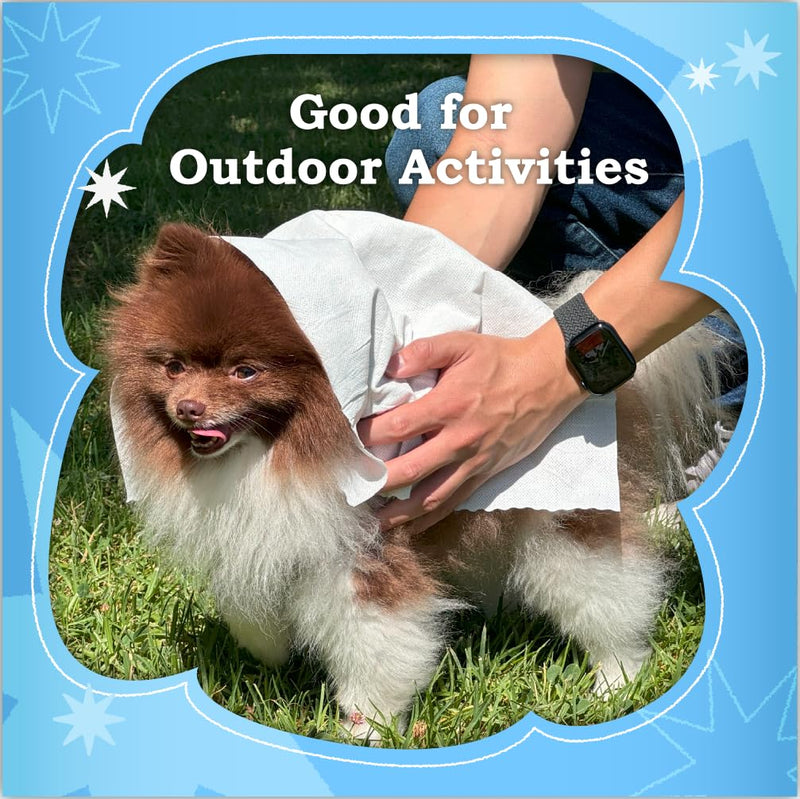Extra Large Size - 20.5" x 12.6" Pet Wipes | Individually Packaged | Paw Wipes | Hypoallergenic | Grooming | Bathing | Green Tea Scented Deodorizing | Tear Stain | All Purpose Bath Wipes | 10 Counts - PawsPlanet Australia