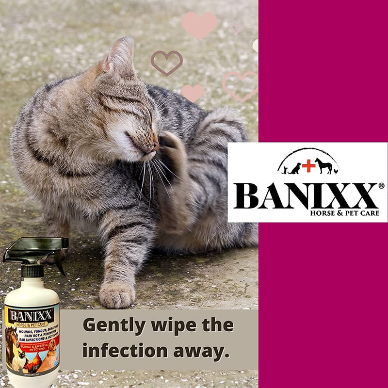 BANIXX Essential First-Aid Solution - BeesActive Australia