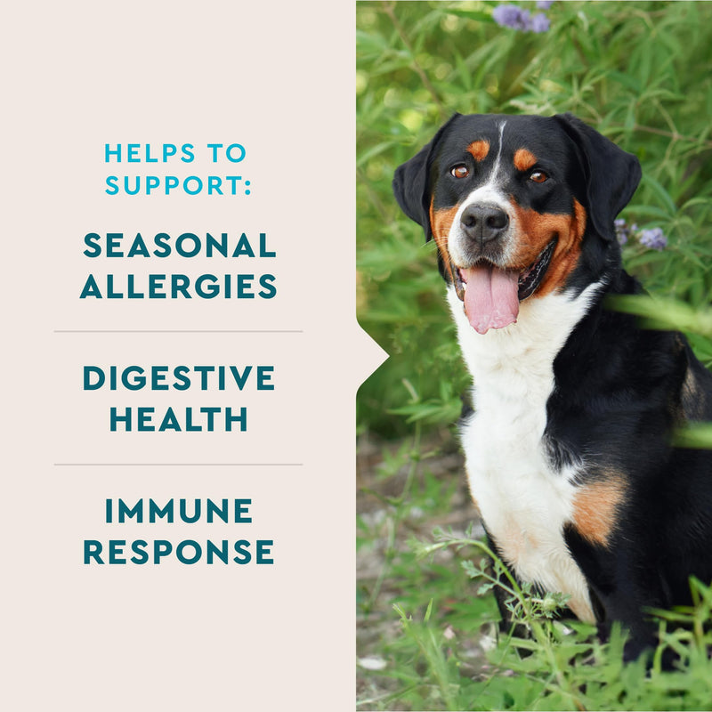 VetIQ Allergy Pro+ Soft Chews for Dogs, Dog Allergy Chews, Seasonal Support, Colostrum, Astragalus Root, Sporevia, Hickory Smoke Flavor, 60 Count 60 Count Dog Supplements