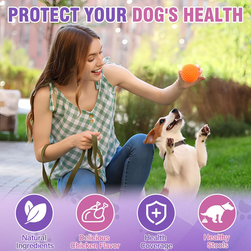 Dog Anal Gland Soft Chews 150 Stop Scoot for Dogs Supports Anal Gland Bowel Function Digestive Health Fiber Pumpkin Supplement for Dogs Pet Diarrhea Bowel Support Probiotics Digestive (Chicken Flavor) Chicken - BeesActive Australia