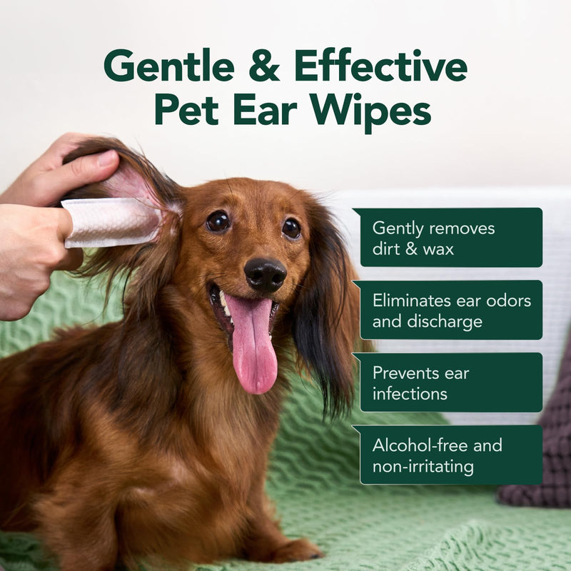 Dog Ear Cleaner Finger Wipes - Gently Remove Ear Wax & Debris, Relieve Ear Itching & Inflammation - Soothing Cleansing Deodorizing Ear Care Wipes for Cat and Dog (50 Pcs, Unscented) 50 PCS - BeesActive Australia