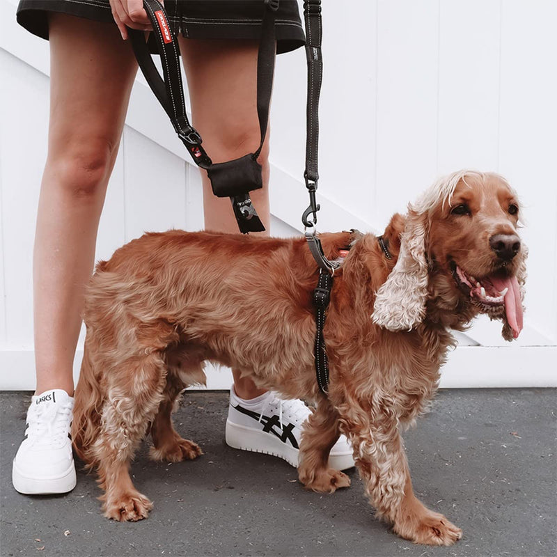 EzyDog Anti Pull Harness Dog - Crosscheck Dog Harness for Small, Medium and Large Dogs, Dog Training Accessories, Reflective, Size Adjustable (L, Green) L (58 - 80cm) - BeesActive Australia