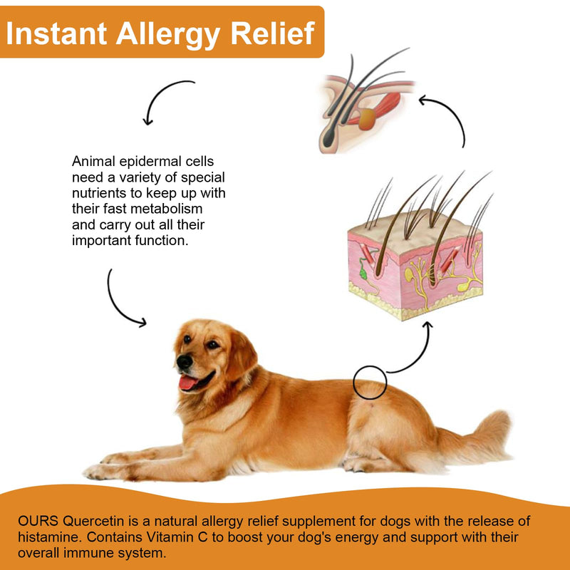 Quercetin for Dogs, Dog Quercetin Liquid Drops Supports Dogs Allergy Relief, Dog Herbal Supplement - Pet SuppliesQuercetin for Dog Itch Remedies - 60 ml / 2 fl.oz - PawsPlanet Australia