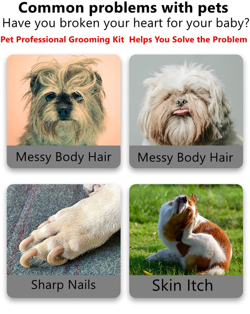 Rabbit Professional Nail Clippers Grooming Kit with Pet Shedding Slicker Brush, Pet Grooming Comb, Nail Clipper Trimmer for Rabbit, Puppy, Kitten, Guinea Pig, Hamster, Ferret (4PCS) 4PCS - BeesActive Australia