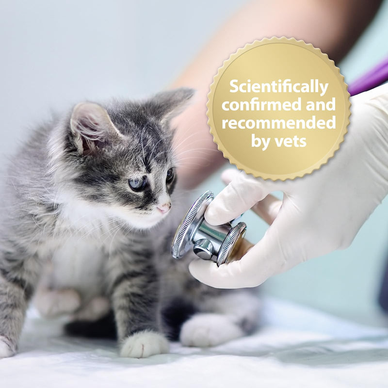 Felisept Home Comfort Cat Calming Refill 45ml - With natural catnip & no pheromone cat - Cat plug in calmer - Reduce undesirable behaviour & stress Home Refill Bottle