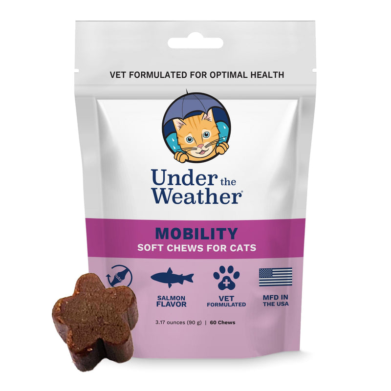 undertheweatherpet Mobility Chews for Cats | Helps in Preventing Joint Issues | for Aging Cats Becoming Less Active | 60 Star Shaped Soft Chews