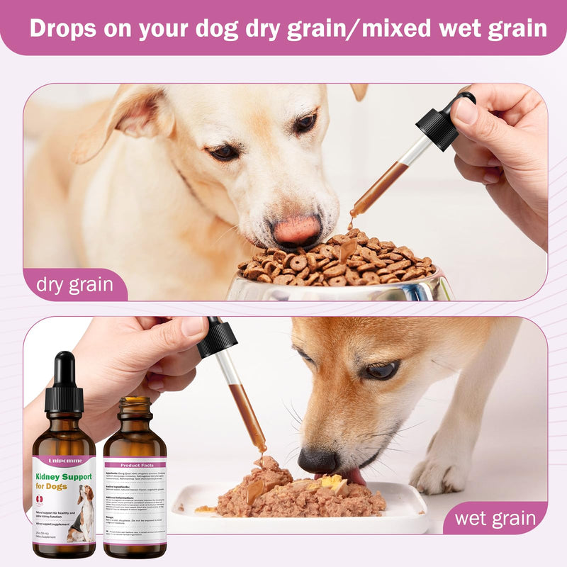 Kidney Support Supplement for Dogs - Supports Kidney Function Health in Dog - Natural Herbal Drops 2 oz - Improve Blood in Urine, Lack of Appetite, Weight Loss, Excessive Drinking, Lethargy, Dull Coat - PawsPlanet Australia