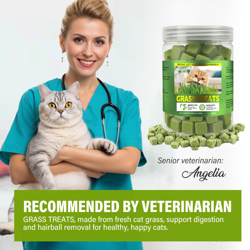 AiRunTech 120g Cat Grass Treats, Cat Grass for Indoor Cats, Fun Daily Snack for Interaction, Pet-Safe Wheatgrass Kit 1 Count (Pack of 1)